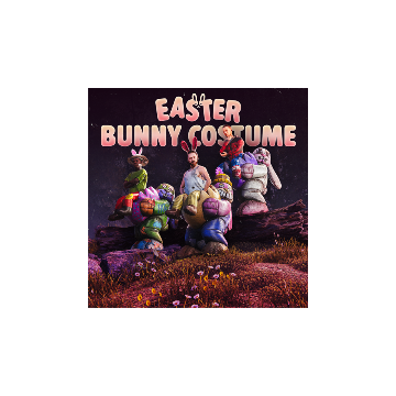 Bunny Costume